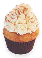 Tiramisu cupcake